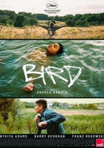 Affiche du film Bird