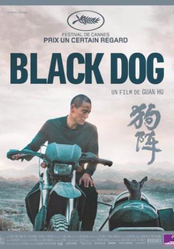 Affiche du film Black Dog