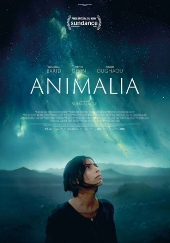 Affiche du film Animalia
