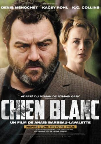 Affiche du film Chien blanc
